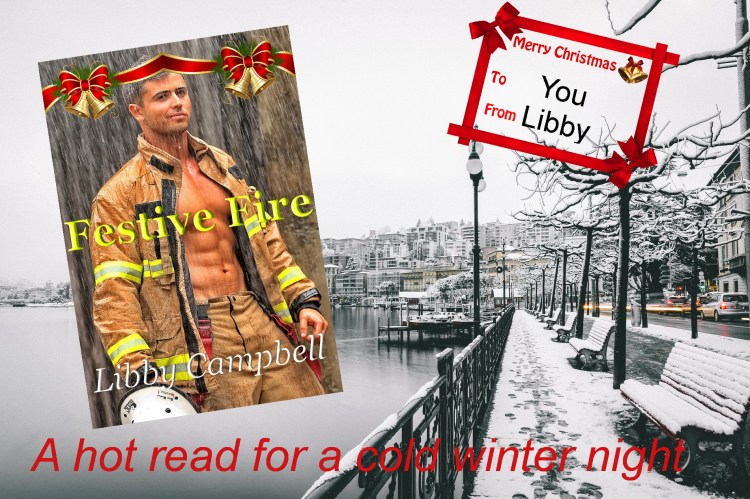 Festive Fire-LC banner3