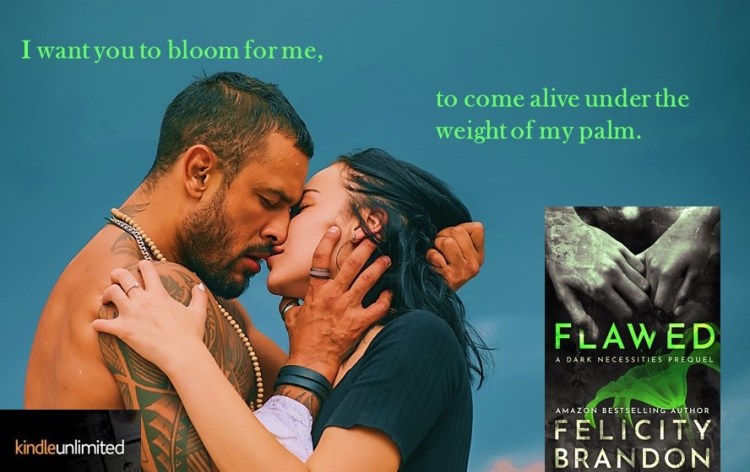 Flawed - FB Teaser 3