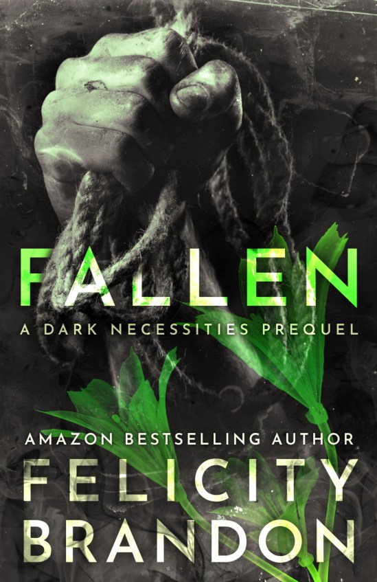 fallen - FB-cover