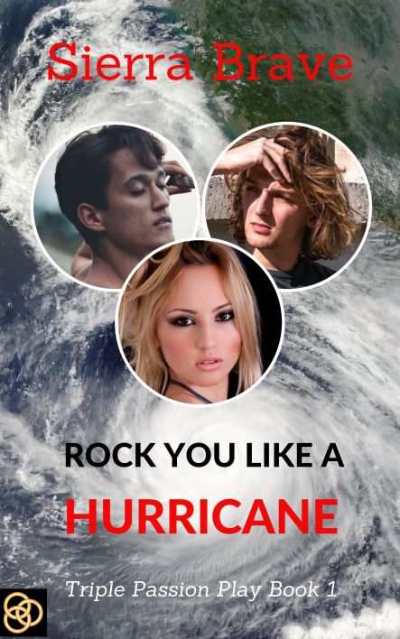 ROCK YOU LIKE A hurricane-SB cover